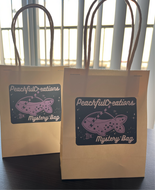 Mystery Bag