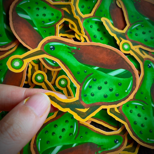 Kiwi Birb Boba Sticker